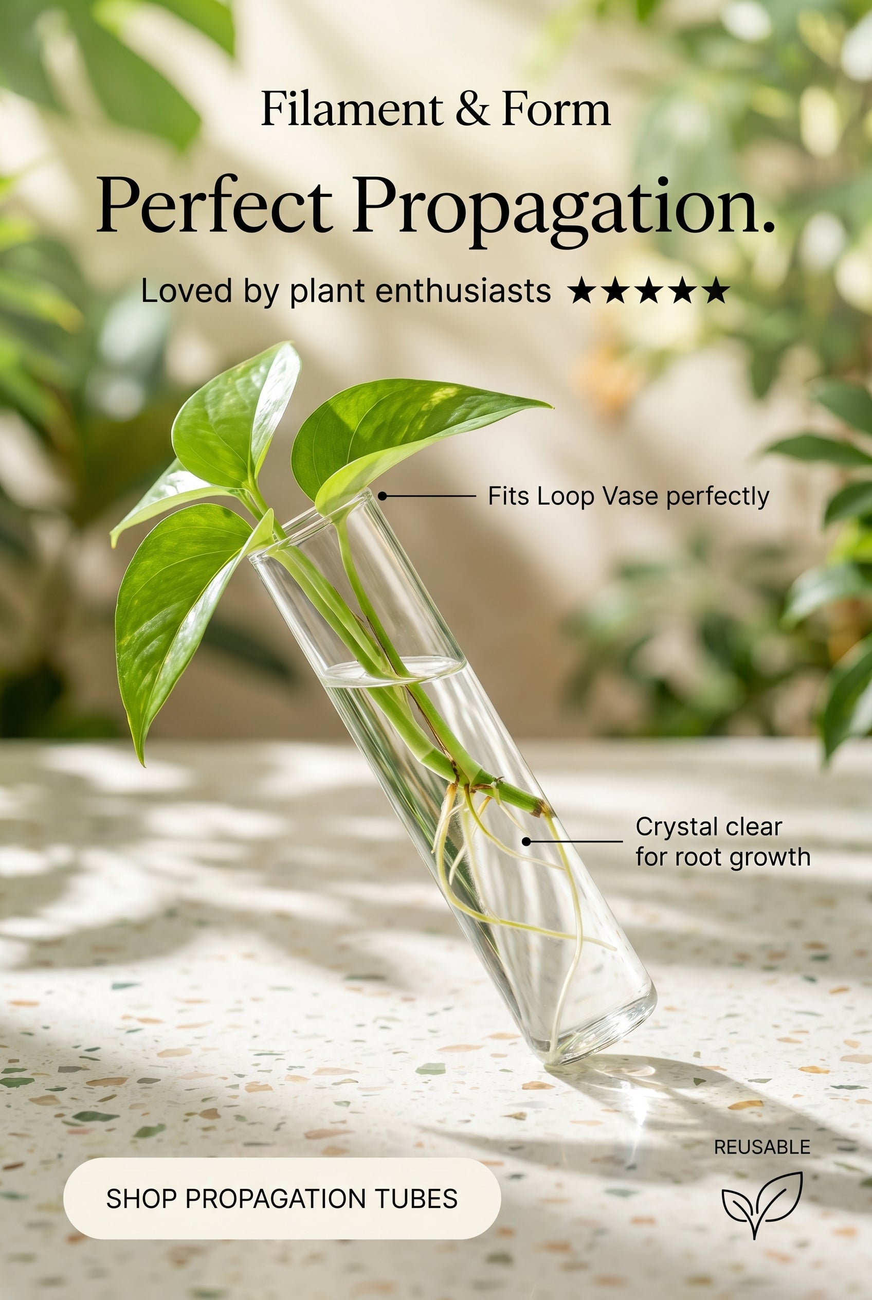 Glass Propagation Tube