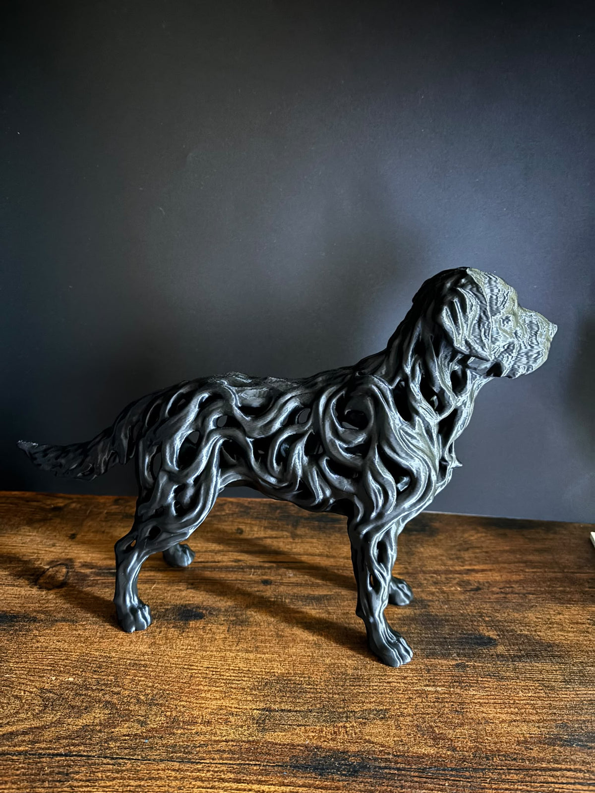 Labrador - Hollow Series