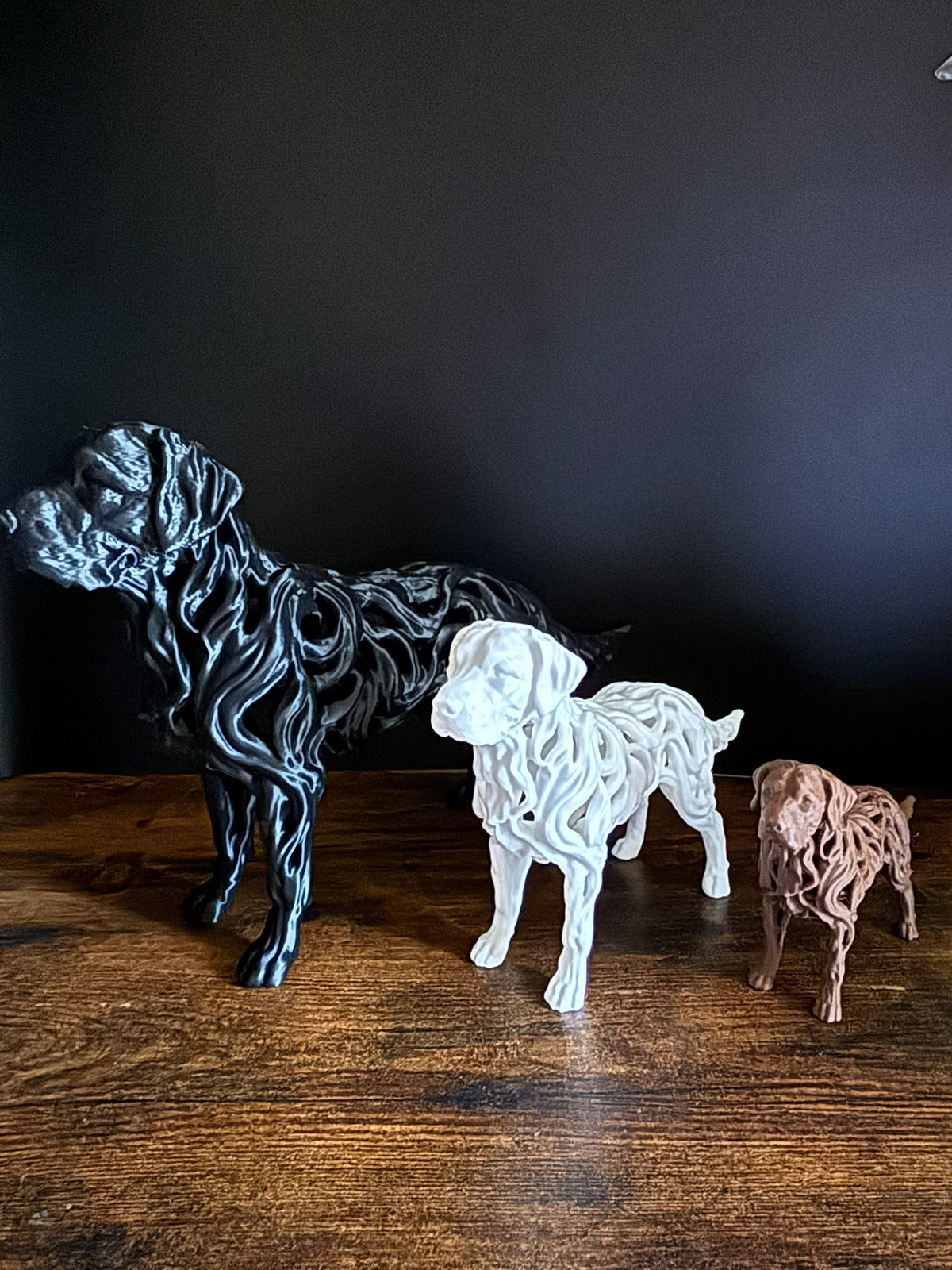 Labrador - Hollow Series