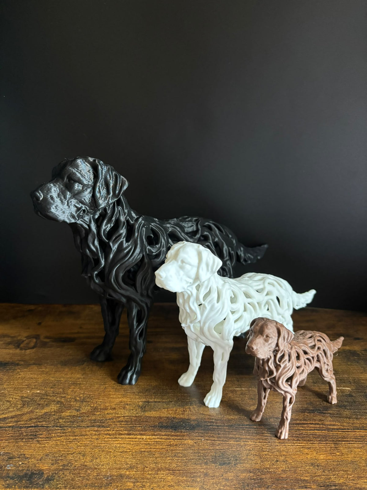 Labrador - Hollow Series