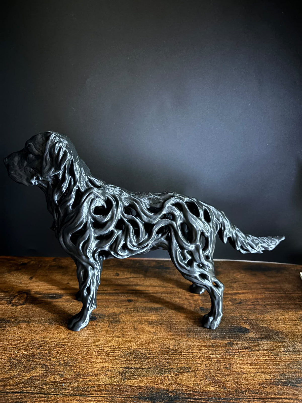 Labrador - Hollow Series