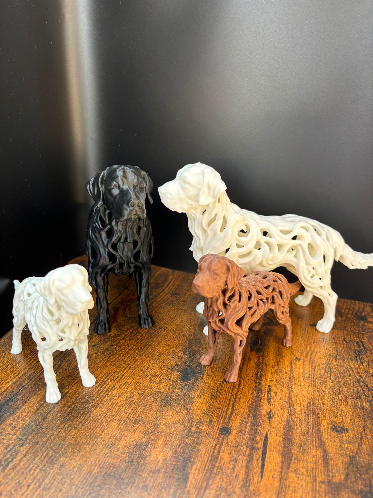 Labrador - Hollow Series