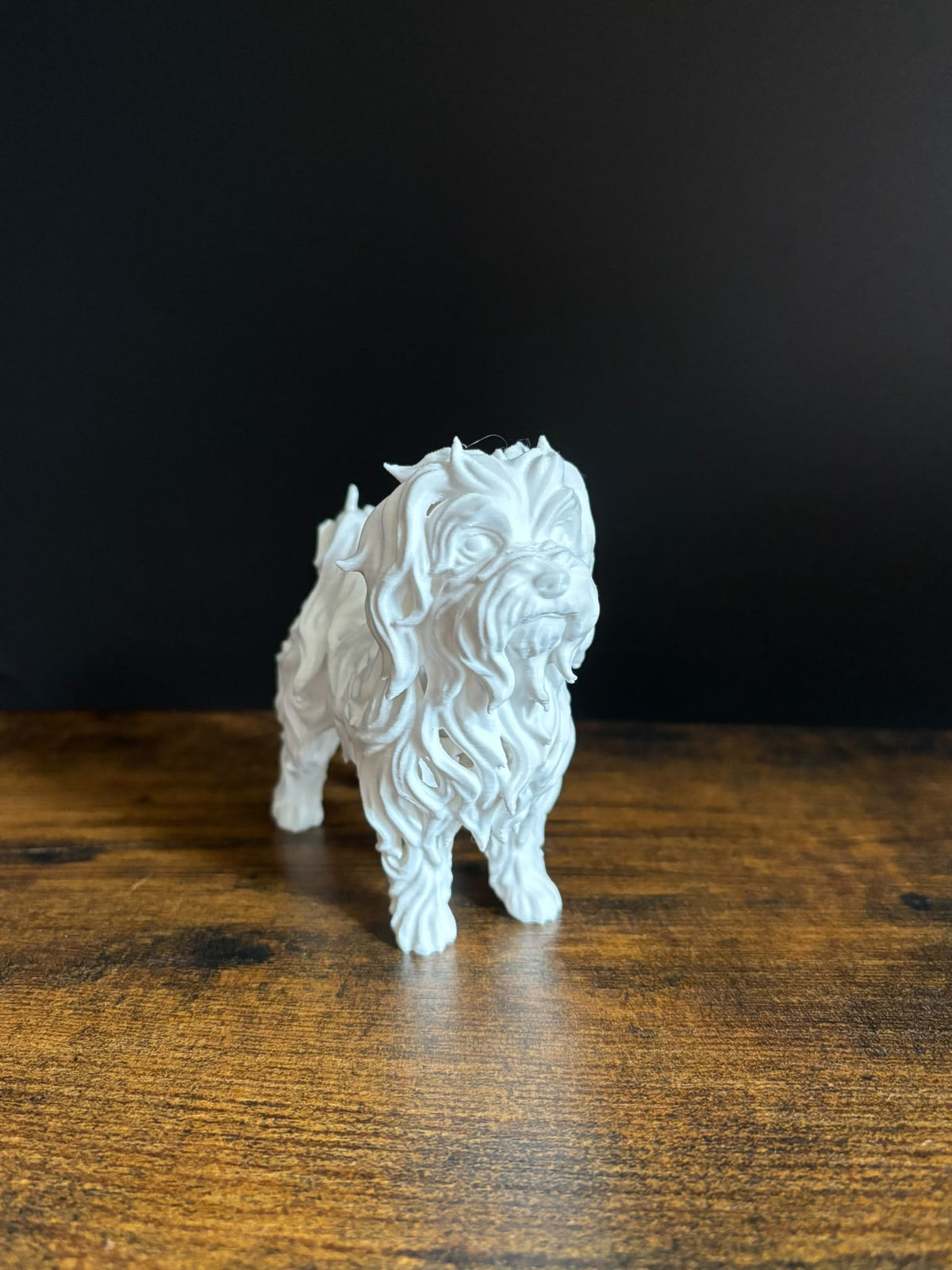 Maltese Dog - Hollow Series