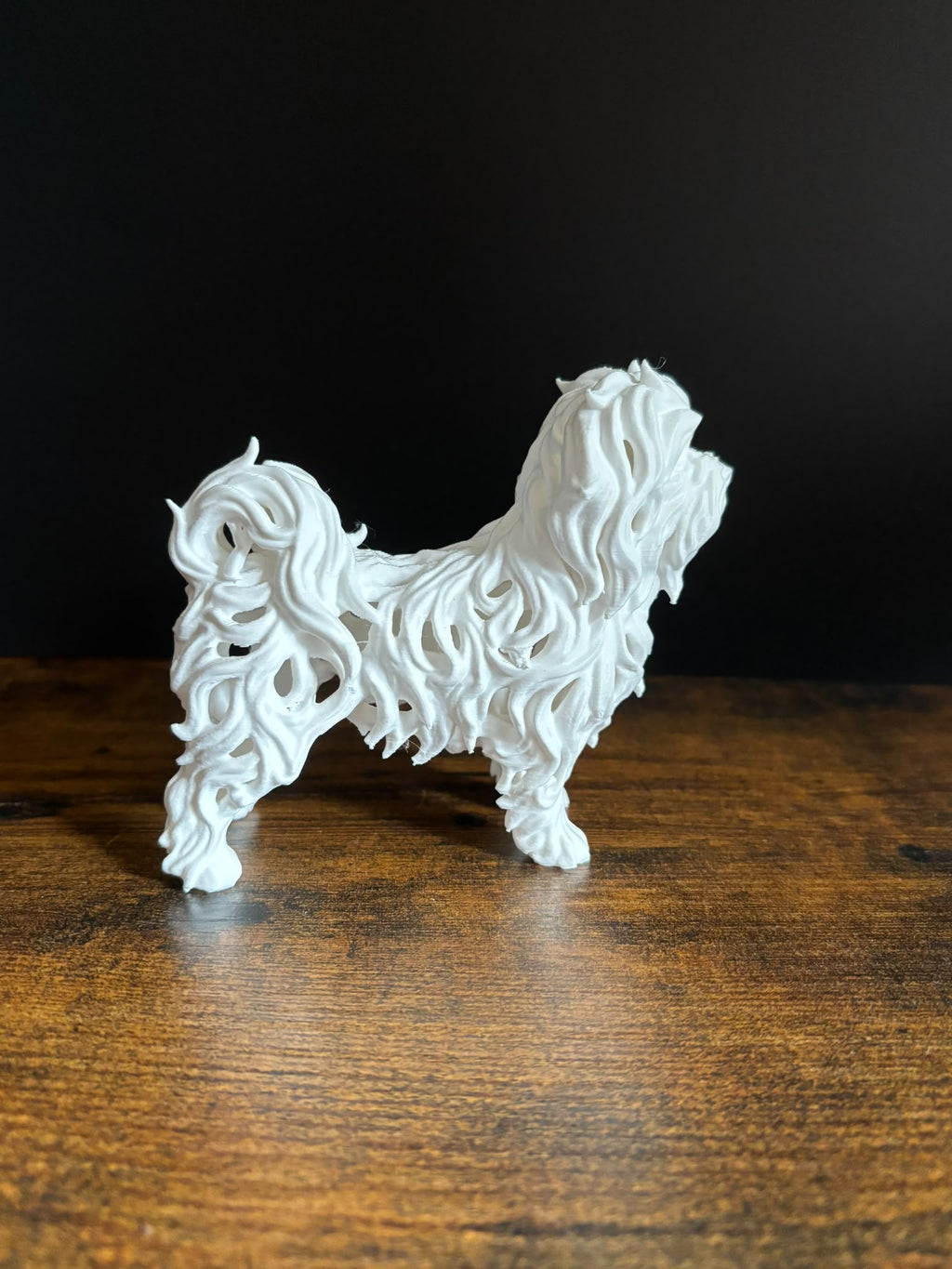 Maltese Dog - Hollow Series