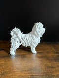 Maltese Dog - Hollow Series