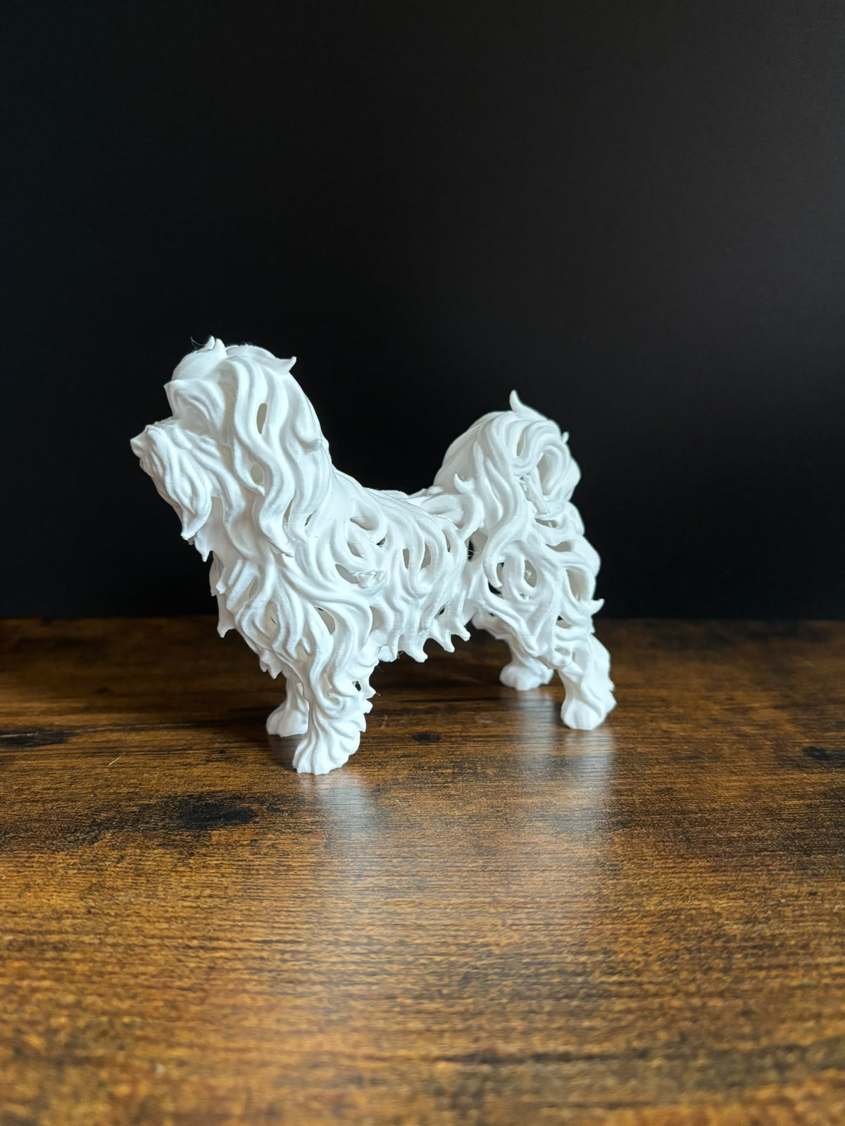 Maltese Dog - Hollow Series